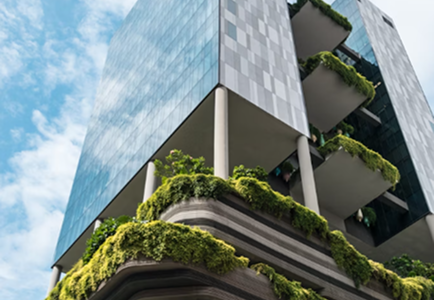 Corporate Sustainability